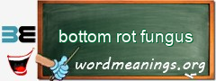 WordMeaning blackboard for bottom rot fungus